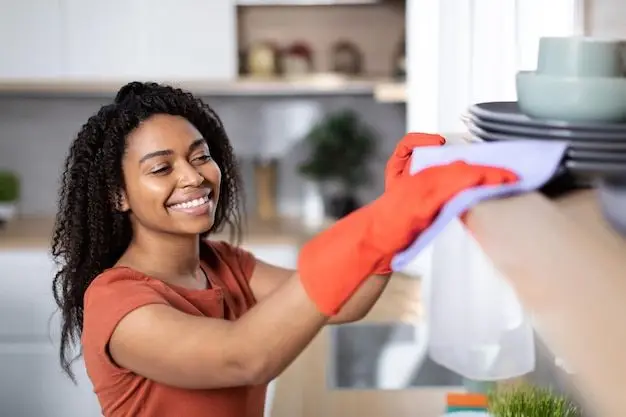 Housemaid