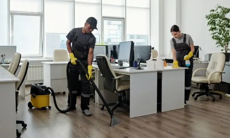 Cleaner
